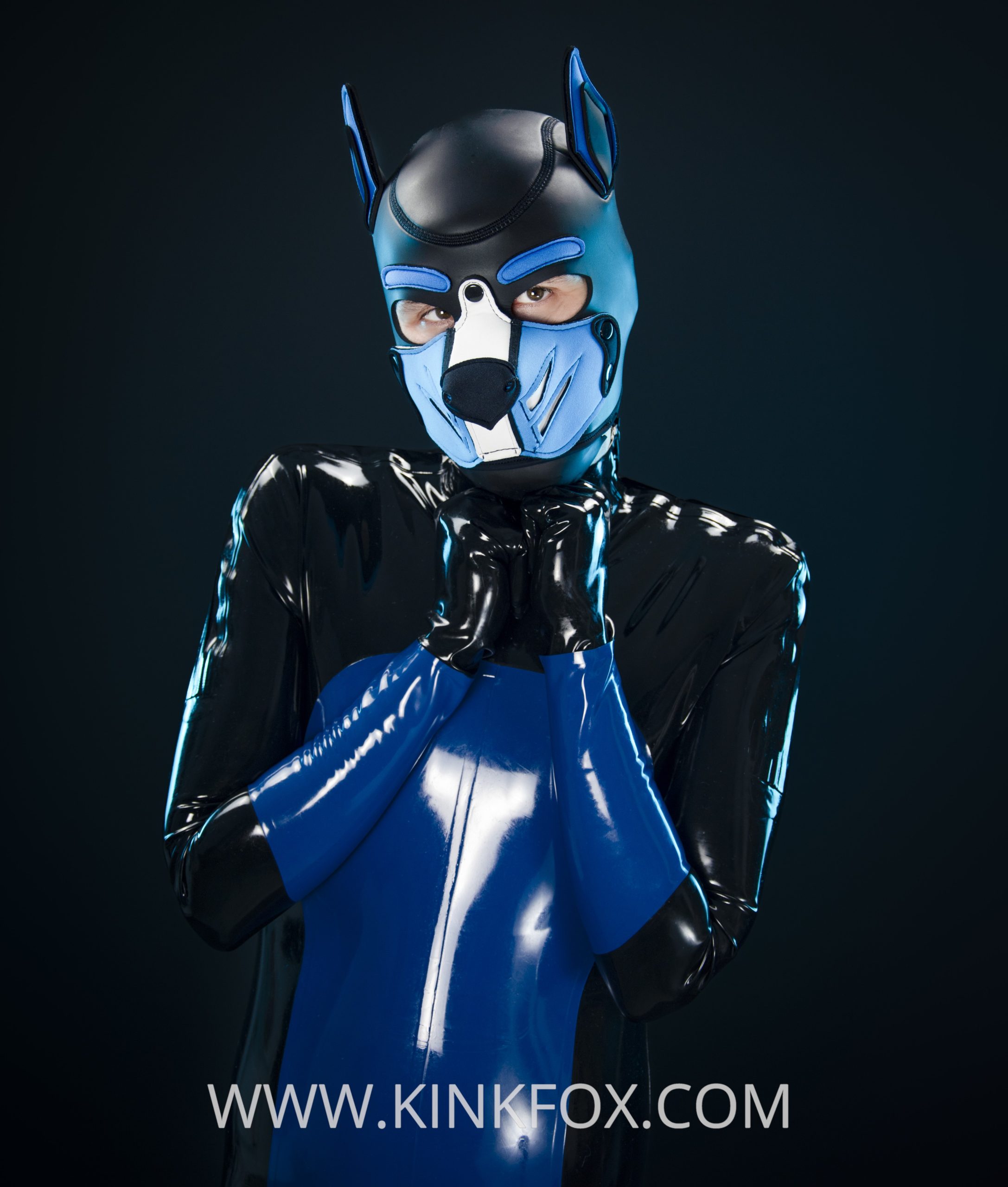 Abyss Pup Latex Catsuit - Image 4