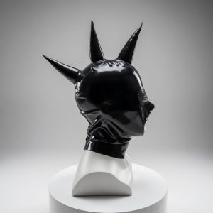 Black Spiked Latex Hood