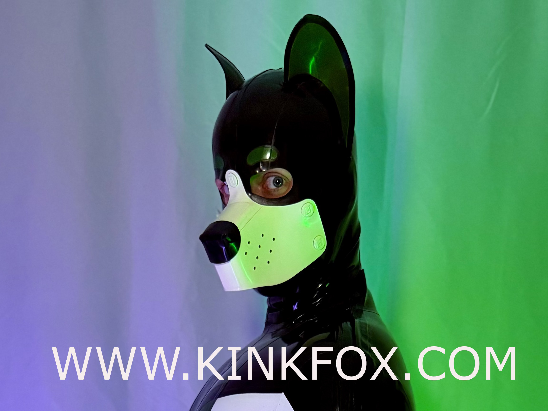 Shiny Pup Latex Hood - Image 4