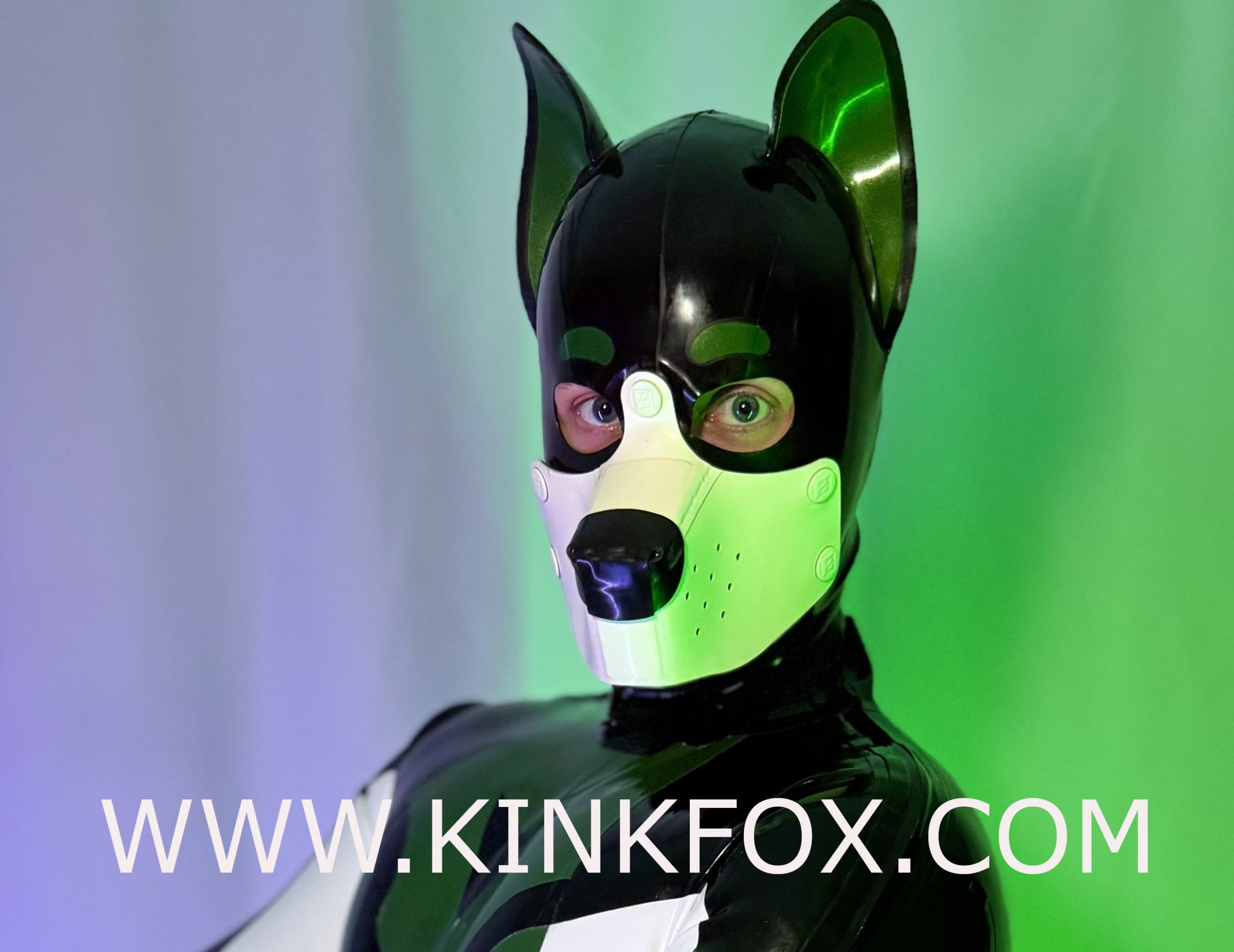 Shiny Pup Latex Hood - Image 5