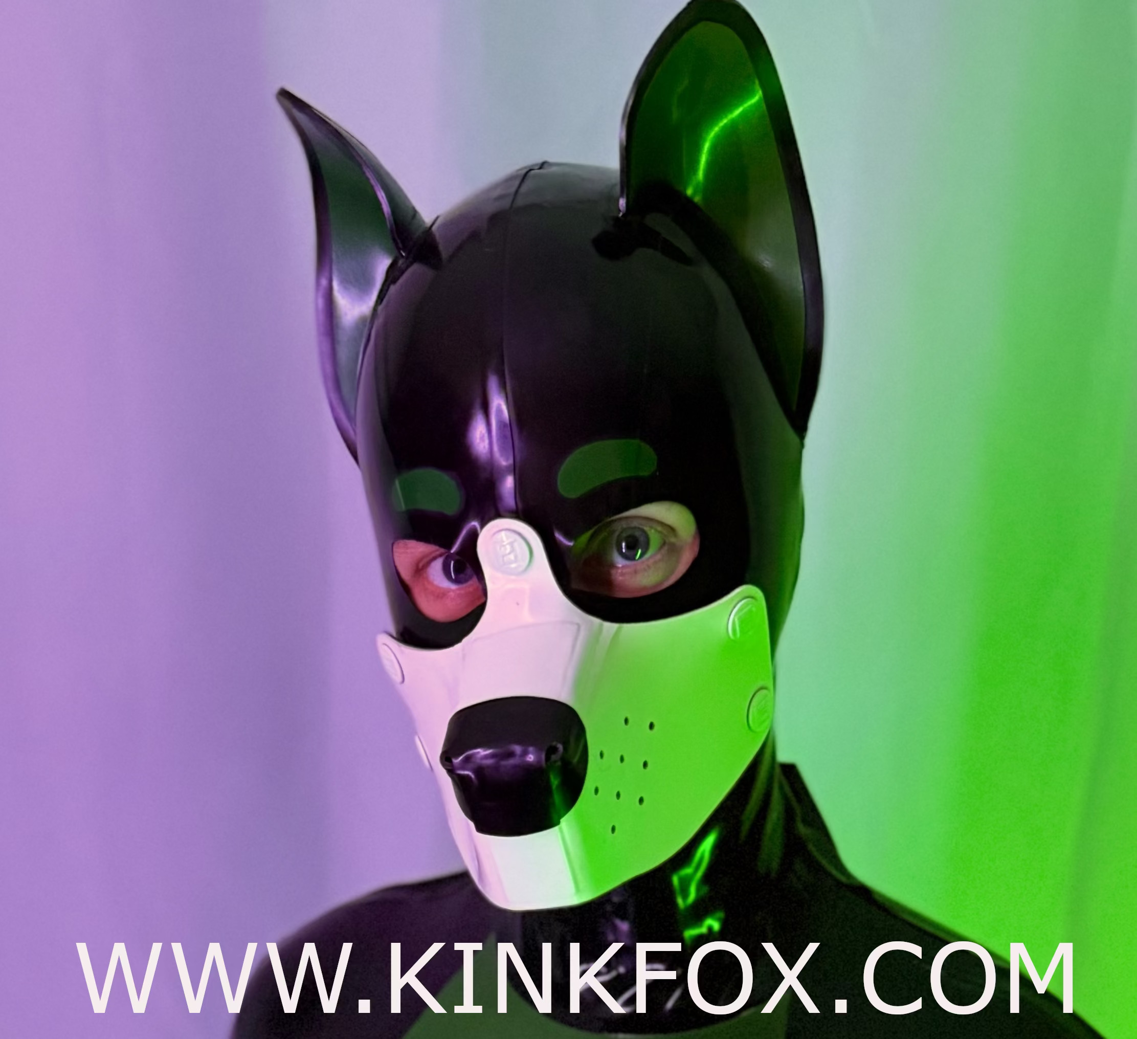 Shiny Pup Latex Hood - Image 6